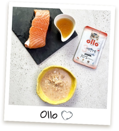 Ollo Cat nr 3 Salmon Łosoś - mokra karma dla kota 85g