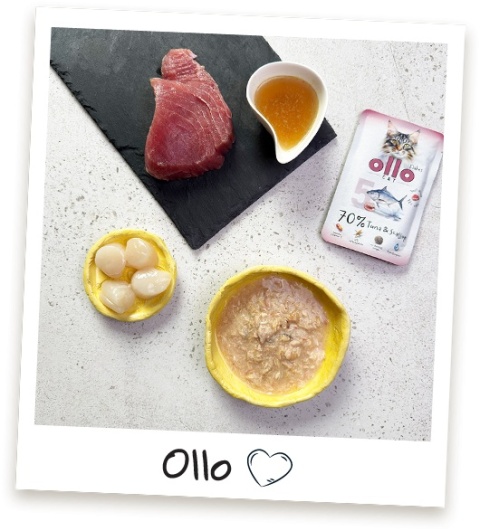Ollo Cat nr 5 Tuna Scallop Tuńczyk i Przegrzebki - mokra karma dla kota 85g