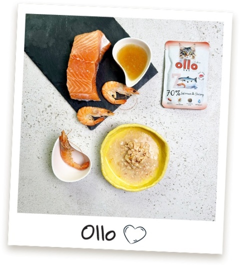 Ollo Cat nr 7 Salmon Shrimp Łosoś i Krewetki - mokra karma dla kota 85g