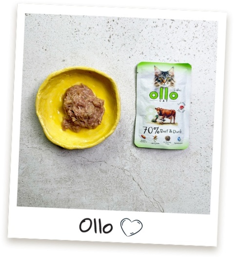 Ollo Cat nr 8 Beef Duck Wołowina i Kaczka - mokra karma dla kota 85g