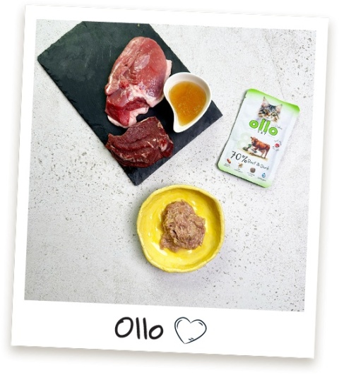Ollo Cat nr 8 Beef Duck Wołowina i Kaczka - mokra karma dla kota 85g