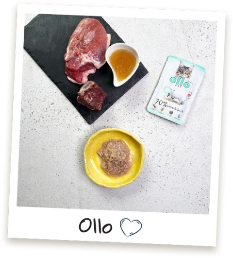 Ollo Cat nr 9 Lamb Duck Jagnięcina i Kaczka - mokra karma dla kota 85g