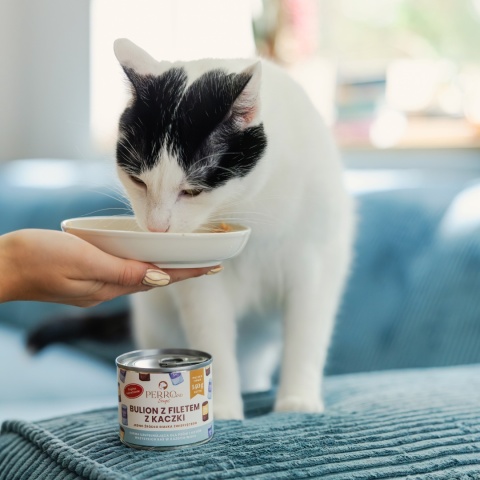 PERROland Soups Bulion z filetem z kaczki dla psa i kota 140g