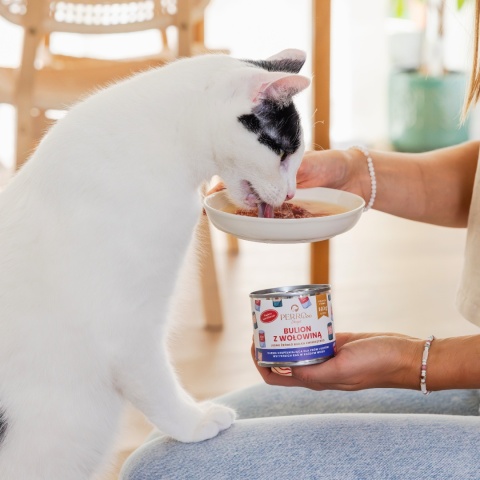 PERROland Soups Bulion z wołowiną dla psa i kota 140g