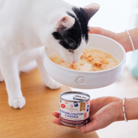 PERROland Soups Bulion z filetem z łososia dla psa i kota 140g