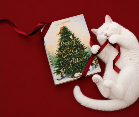 CAT'S LOVE kalendarz adwentowy dla kota z przysmakami liofilizowanymi 48g edycja 2026