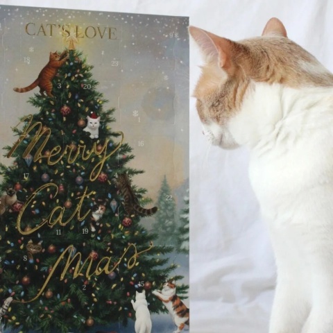 CAT'S LOVE kalendarz adwentowy dla kota z przysmakami liofilizowanymi 48g edycja 2026