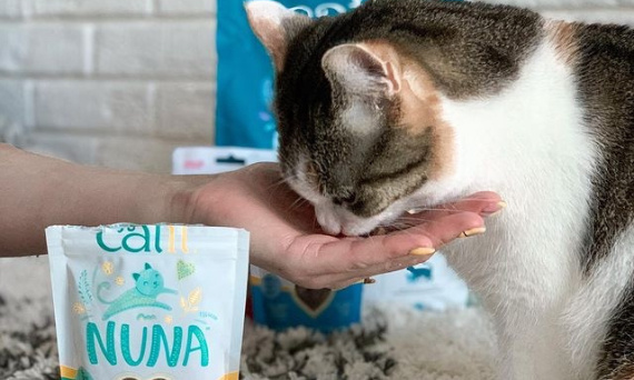 Przysmaki i karma z owadów dla kota - Catit Nuna