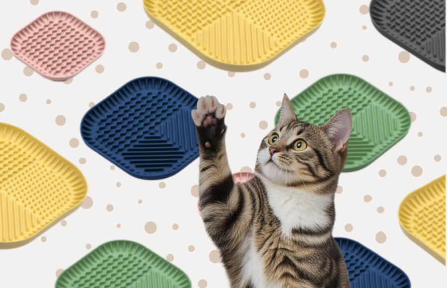 Maty do lizania Fiboo. Sposób na spokojniejsze i zdrowsze posiłki Twojego kota