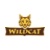 Wildcat
