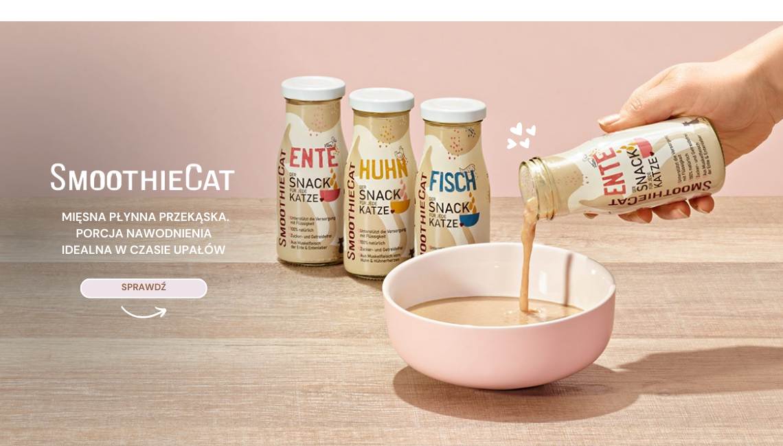 smoothie cat kotamy.com