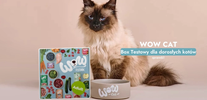 wow cat box adult - zestaw testowy dla kota